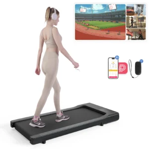 2in1 Treadmill for Home/Office