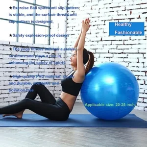 Exercise Stability Ball