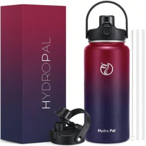 Insulated Water Bottle